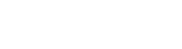 ce-am-reusit-sa-facem-pana-acum
